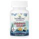 Nordic Naturals Children's DHA Xtra 636 mg 90 мини-капсул NOR-02721 фото 3